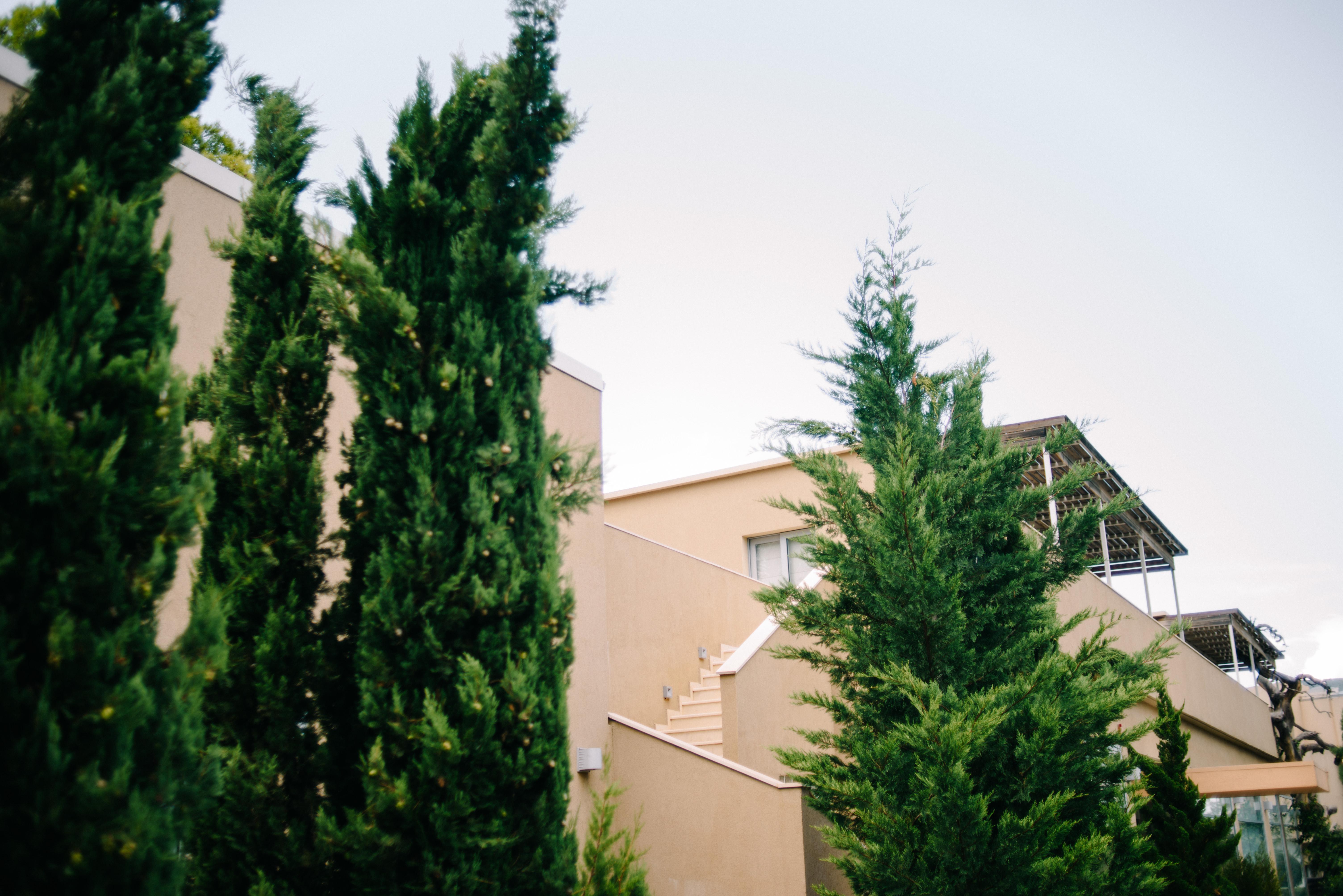 Sikyon Coast Hotel And Resort Ксилокастро Экстерьер фото
